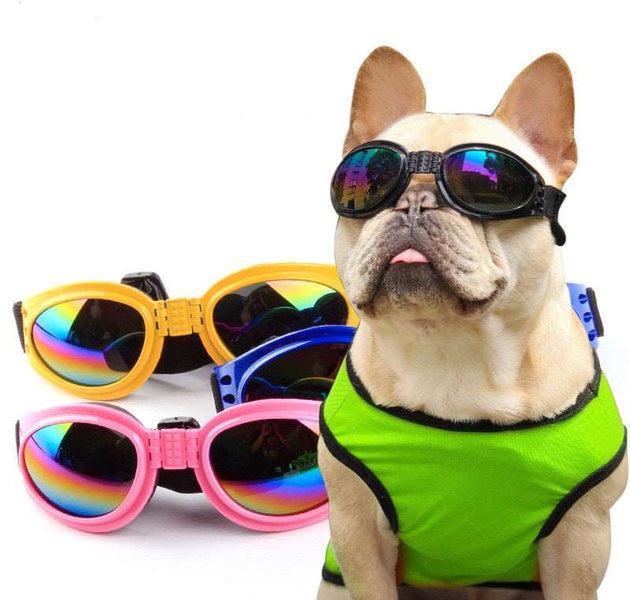 Best Selling Pet Glasses 6 Color Foldable Small Medium Large Dog UV Protection Sunglasses Dog Cat Accessories Pet Supplies - Urban Pet Plaza 