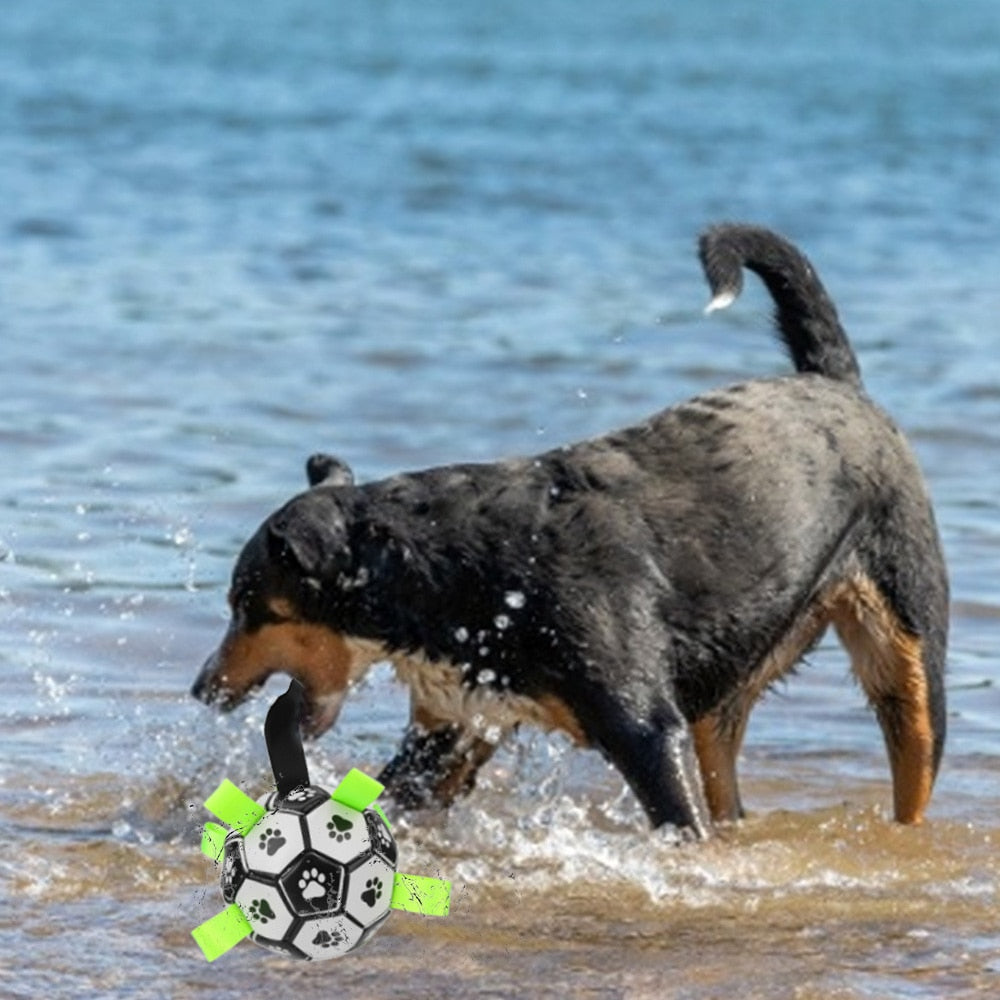 Puppy Outdoor Training Soccer 15cm Dog Bite Chew Balls Interactive Pet Football Toys With Grab Tabs Pets Accessories - Urban Pet Plaza 