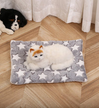 Soft Warm Flannel Thickened Pet Blanket Cat Litter Puppy Sleep Mat Washable Lovely Mattress Cushion for Small Large Dogs Dog Bed - Urban Pet Plaza 