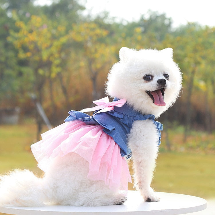 Pet Dress for Dog Small Pomeranian Girl and Boy Dress for Cat Small Dog Puppy Chihuahua Luxury Fashion Puppy Clothes Pet Product - Urban Pet Plaza 