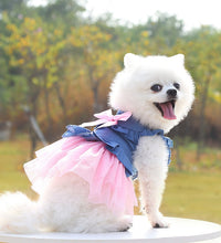 Pet Dress for Dog Small Pomeranian Girl and Boy Dress for Cat Small Dog Puppy Chihuahua Luxury Fashion Puppy Clothes Pet Product - Urban Pet Plaza 