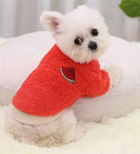 Pet Dog Clothes For Small Dogs Clothing Warm Clothing for Dogs Coat Puppy Outfit Pet Clothes for Small Dog Hoodies Chihuahua - Urban Pet Plaza 
