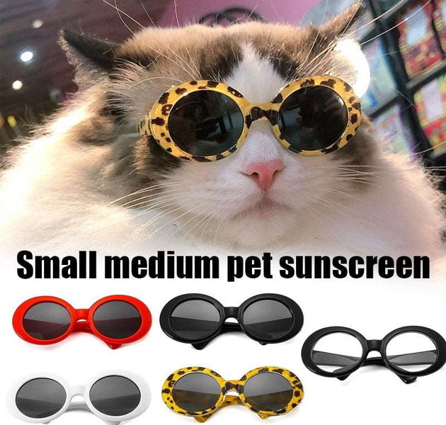 Cat Glasses Cool Pet Small Dog Fashion Round Glasses Pet Product For Little Dog Cat Sunglasses For Photography Pet Accessories - Urban Pet Plaza 
