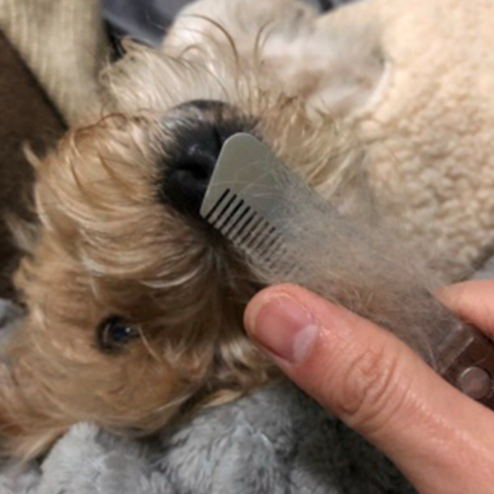 Handle Dog Stainless Steel Brushes Grooming Combs for Dog Pets Comb Coat Stripping Knife Stripper Trimmer Wooded Cleaning Tool - Urban Pet Plaza 