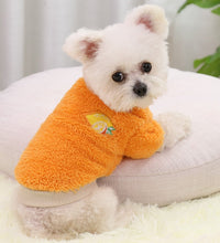 Pet Dog Clothes For Small Dogs Clothing Warm Clothing for Dogs Coat Puppy Outfit Pet Clothes for Small Dog Hoodies Chihuahua - Urban Pet Plaza 