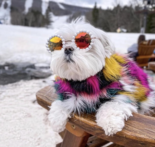 Luxury Glasses Pet Dog Pearl Sunglasses Teddy Than Panda Chihuahua Photo Sunglasses Headdress Pearl Sunglasses Dog Accessories - Urban Pet Plaza 