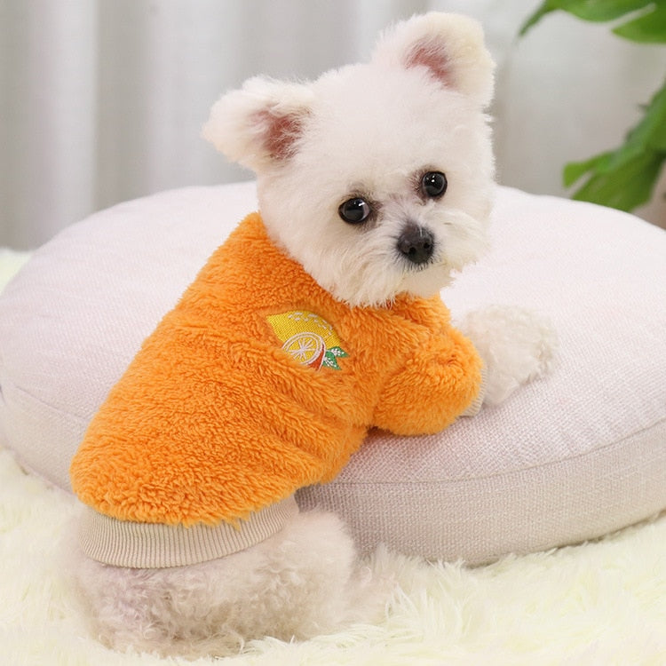 Pet Dog Clothes For Small Dogs Clothing Warm Clothing for Dogs Coat Puppy Outfit Pet Clothes for Small Dog Hoodies Chihuahua - Urban Pet Plaza 