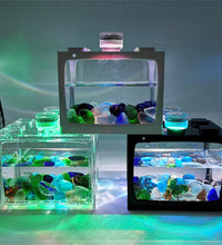 Small Fish Tank With Seven-color LED Lights, Desktop Creative Micro Landscape Ecological Tank DIY Mini Tropical Fish Aquarium - Urban Pet Plaza 