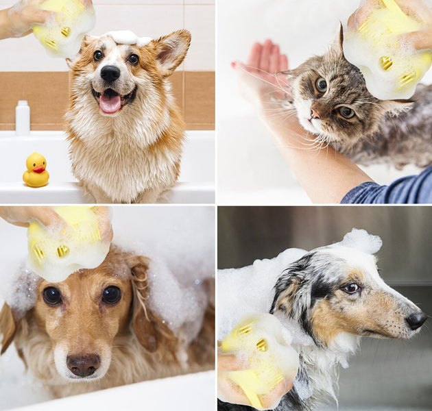 Pet Accessories Shampoo Massager Brush Bathroom Puppy Cat Massage Comb Grooming Shower Brush For Bathing Soft Brushes For Dogs - Urban Pet Plaza 