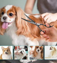 Portable Curved Pet Hair Scissors Grooming Both Hand Available Stainless Steel Dog Scissors Pets Shears Animal Cutting Scissors - Urban Pet Plaza 