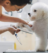 Safty Pet Grooming Scissors Round Head Professional Stainless Steel Dog Hair Scissors Pets Shears Animal Cutting Portable Set - Urban Pet Plaza 