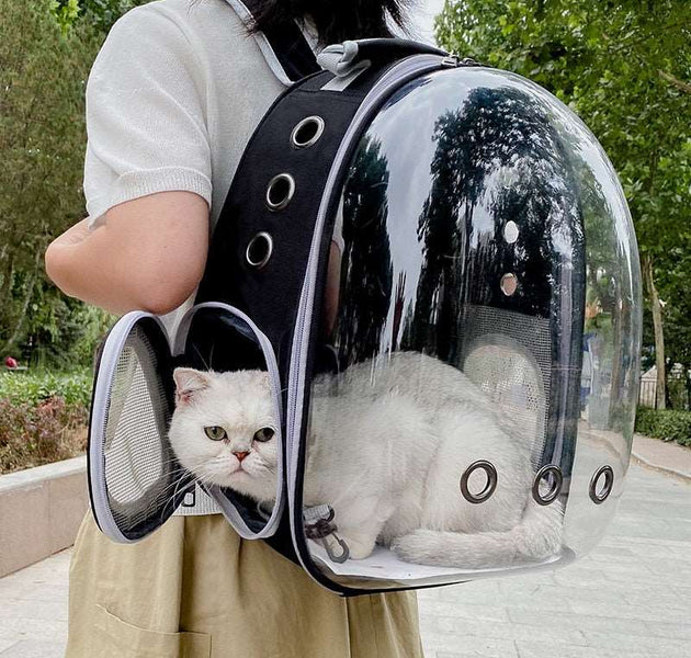 Cat Carrying Bag Space Pet Backpack Breathable Portable Transparent Backpack Puppy Dog Transport Carrier Space Capsule Bag Pets - Urban Pet Plaza 