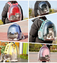 Cat Carrying Bag Space Pet Backpack Breathable Portable Transparent Backpack Puppy Dog Transport Carrier Space Capsule Bag Pets - Urban Pet Plaza 