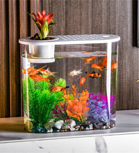 FishTank Hydroponics Desktop Plant Terrarium Desktop Clear Table Fish Bowl Desktop Aquarium Aquaponic Planter Tanks - Urban Pet Plaza 