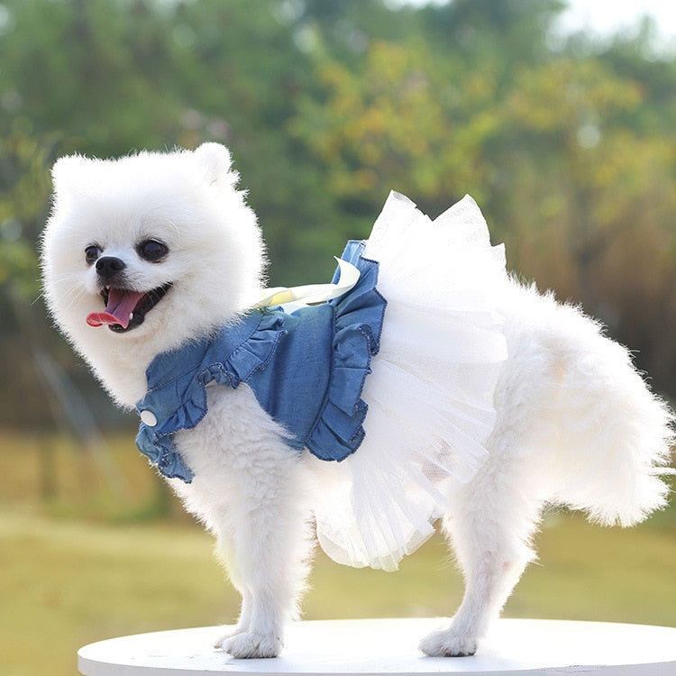 Pet Dress for Dog Small Pomeranian Girl and Boy Dress for Cat Small Dog Puppy Chihuahua Luxury Fashion Puppy Clothes Pet Product - Urban Pet Plaza 