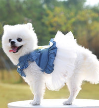 Pet Dress for Dog Small Pomeranian Girl and Boy Dress for Cat Small Dog Puppy Chihuahua Luxury Fashion Puppy Clothes Pet Product - Urban Pet Plaza 