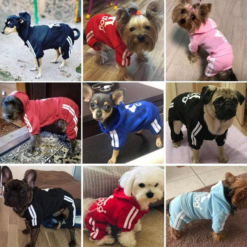 Clothes For Small Dogs Autumn Winter Warm Puppy Pet Cat Coat Jacket Sport Dog Jumpsuits Chihuahua French Bulldog Clothing Outfit - Urban Pet Plaza 