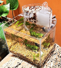 D0JA Mini Acrylic Aquarium Transparent Fish Keeper Fishbowl Portable Desktop Fish Tank for Betta Tropical Fish Starter Kit - Urban Pet Plaza 