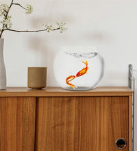 Circle Vase Aquarium Tank PET Containers Fish Tank Vase Round Water Vase Transparent Round Fish Tank - Urban Pet Plaza 