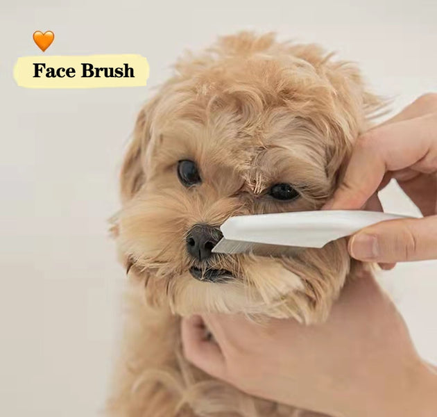 Practical Pet Facial Cleaning Brush for Small Dogs Teddy Bichon Pomeranian Hair Remover Comb Grooming Cleaning Tool Pet Product - Urban Pet Plaza 