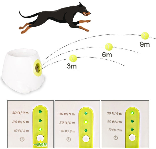Catapult For Dogs Ball Launcher Dog Toy Tennis Ball Launcher Jumping Ball Pitbull Toys Tennis Ball Machine Automatic Throw Pet - Urban Pet Plaza 