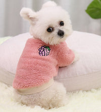 Pet Dog Clothes For Small Dogs Clothing Warm Clothing for Dogs Coat Puppy Outfit Pet Clothes for Small Dog Hoodies Chihuahua - Urban Pet Plaza 