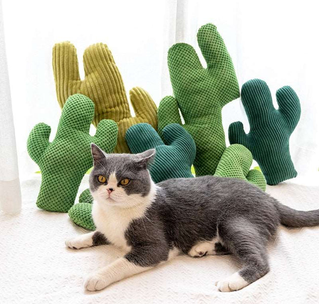 Cactus Catnip Cat Toy Pet Plush Chew Dog Toys Teeth Grinding Chewing Durable Tug Fetch Bite Toys for Small Medium Large Cat Dogs - Urban Pet Plaza 