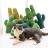 Cactus Catnip Cat Toy Pet Plush Chew Dog Toys Teeth Grinding Chewing Durable Tug Fetch Bite Toys for Small Medium Large Cat Dogs - Urban Pet Plaza 