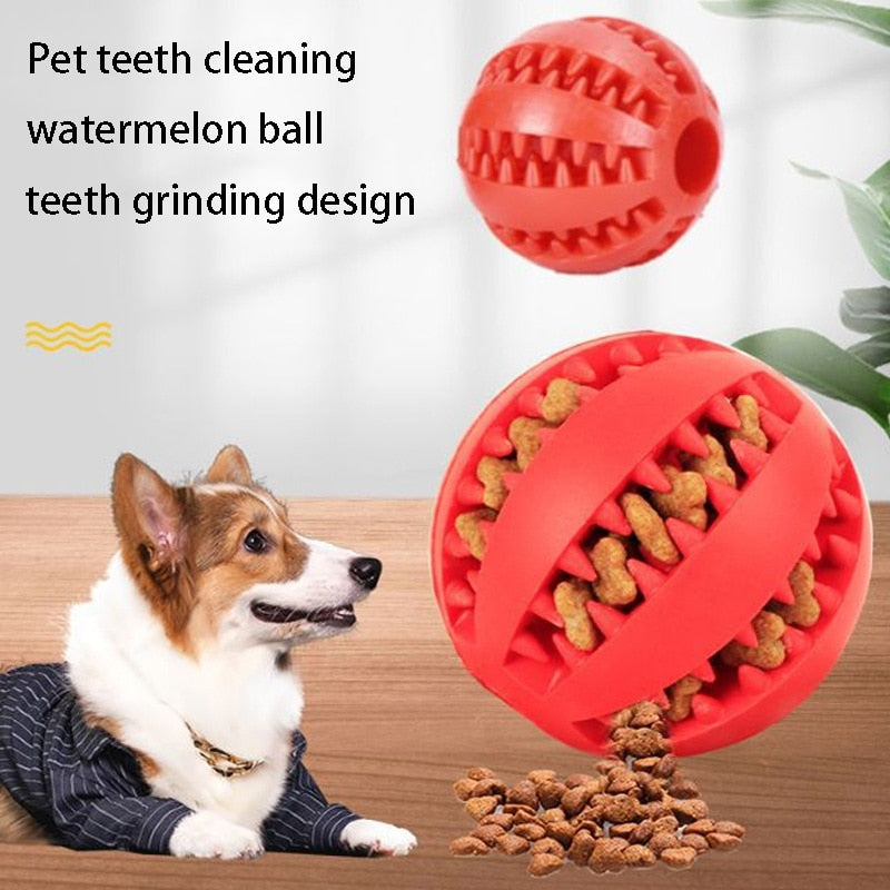 Natural Rubber Pet Dog Toys Dog Chew Toys Tooth Cleaning Treat Ball Extra-tough Interactive Elasticity Ball for Pet Accessories - Urban Pet Plaza 