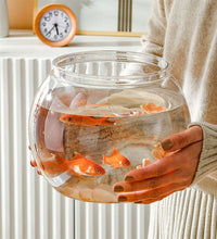 Circle Vase Aquarium Tank PET Containers Fish Tank Vase Round Water Vase Transparent Round Fish Tank - Urban Pet Plaza 