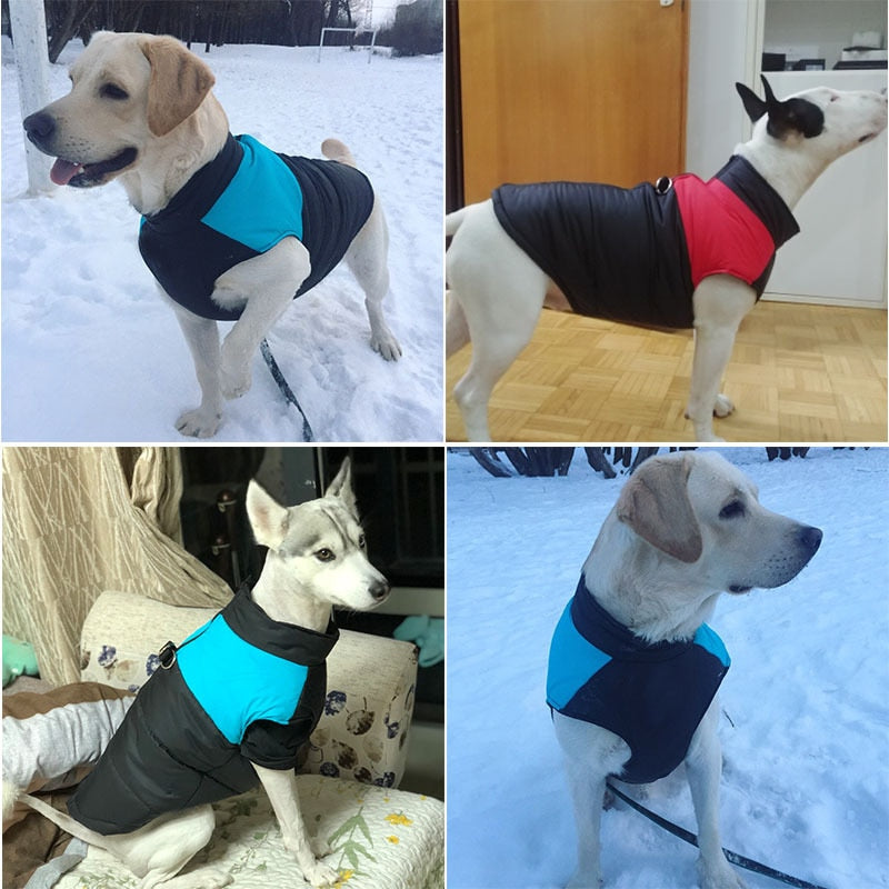 Padded Winter Warm Dog Clothes Waterproof Pet Vest Zipper Jacket For Small Medium Large Dogs Pug Chihuahua French Bulldog Coat - Urban Pet Plaza 