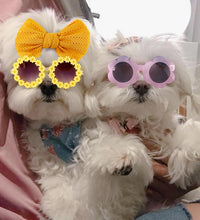 Pet Dog Sunglasses Headband Set Sun Flower Glasses for Maltese  Poodle Yorkshire for Small Dogs Cat Accessories - Urban Pet Plaza 