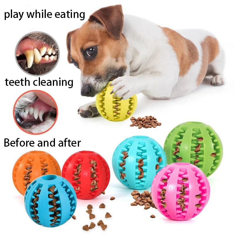 Natural Rubber Pet Dog Toys Dog Chew Toys Tooth Cleaning Treat Ball Extra-tough Interactive Elasticity Ball for Pet Accessories - Urban Pet Plaza 