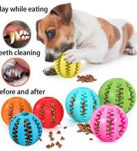 Natural Rubber Pet Dog Toys Dog Chew Toys Tooth Cleaning Treat Ball Extra-tough Interactive Elasticity Ball for Pet Accessories - Urban Pet Plaza 