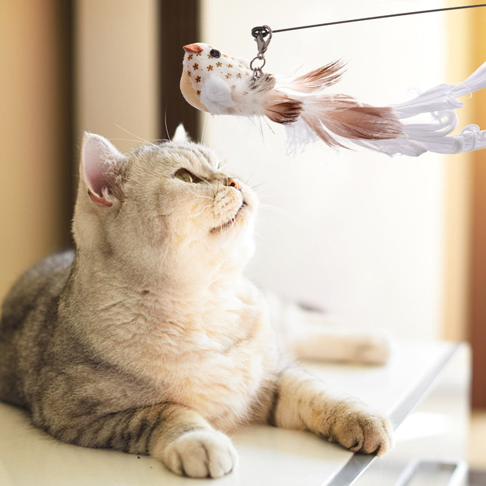 Handfree Bird/Feather Cat Wand with Bell Powerful Suction Cup Interactive Toys for Cats Kitten Hunting Exercise Pet Products - Urban Pet Plaza 