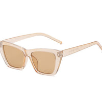 Heart Evangelista Sunglasses Women Brand Designer Cats Eye Eyewear Sun Glass  Retro Trendy Sunnies - Urban Pet Plaza 