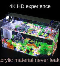 Plexiglass Aquarium Box Ultra-white Organic Glass Explosion-proof Acrylic Fish Tank Tabletop Small Ecological Water Tank - Urban Pet Plaza 