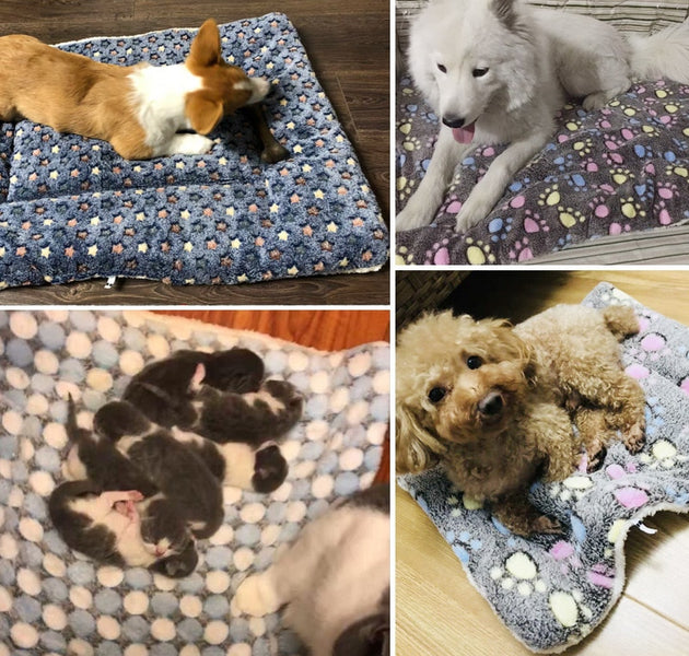 Pet Sleeping Mat Dog Bed Cat Bed Soft Hair Thickened Blanket Pad Fleece Home Washable Warm Bear Pattern Blanket Pet Supplies - Urban Pet Plaza 