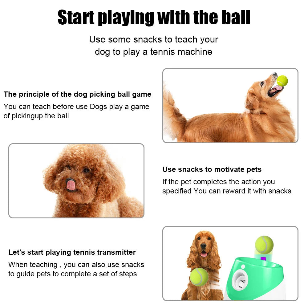 Rechargable Dog Tennis Launcher Automatic Pet Dogs Chase Toy Mini Tennis Throwing Pinball Machine Fun Interactive Throw Device - Urban Pet Plaza 