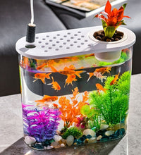 FishTank Hydroponics Desktop Plant Terrarium Desktop Clear Table Fish Bowl Desktop Aquarium Aquaponic Planter Tanks - Urban Pet Plaza 