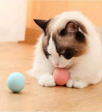 Electric Dog Toys Smart Puppy Ball Toys For Cat Small Dogs Funny Auto Rolling Ball Self-moving Puppy Games Toys Pet Accessories - Urban Pet Plaza 