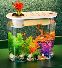 FishTank Hydroponics Desktop Plant Terrarium Desktop Clear Table Fish Bowl Desktop Aquarium Aquaponic Planter Tanks - Urban Pet Plaza 