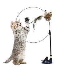 Funny Simulation Bird Interactive Cat Toy with Super Suction Cup Feather Bird for Kitten Play Chase Exercise Cat Toy Supplies - Urban Pet Plaza 