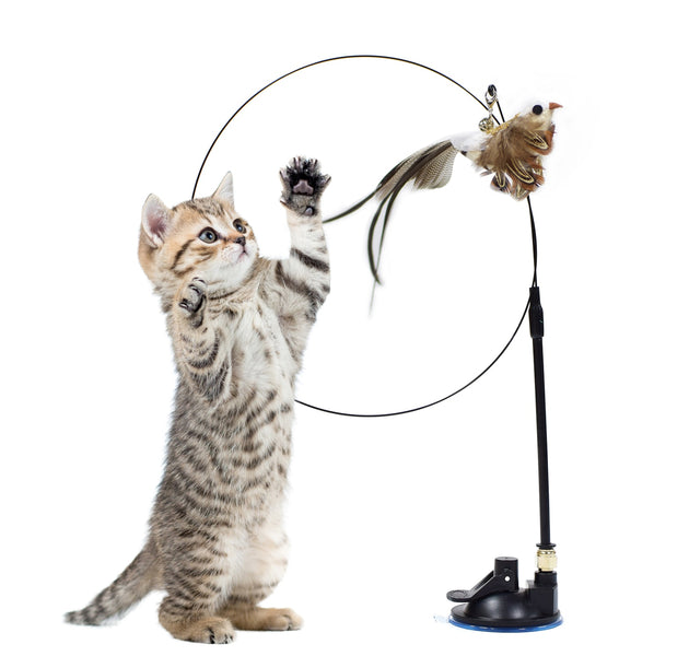 Funny Simulation Bird Interactive Cat Toy with Super Suction Cup Feather Bird for Kitten Play Chase Exercise Cat Toy Supplies - Urban Pet Plaza 