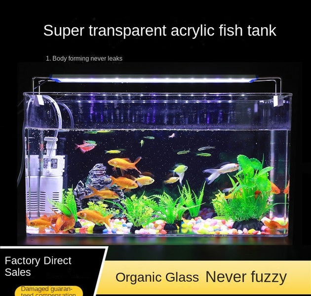 Plexiglass Aquarium Box Ultra-white Organic Glass Explosion-proof Acrylic Fish Tank Tabletop Small Ecological Water Tank - Urban Pet Plaza 