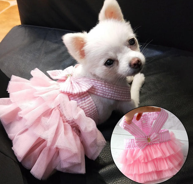 Dog Summer Dress Cat Lace Skirt Pet Clothing Chihuahua Stripe Skirt Puppy Cat Princess Apparel Cute Puppy Clothe Dog Accessories - Urban Pet Plaza 