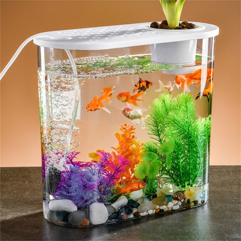 FishTank Hydroponics Desktop Plant Terrarium Desktop Clear Table Fish Bowl Desktop Aquarium Aquaponic Planter Tanks - Urban Pet Plaza 