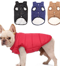 Winter Pet Dog Clothes For Small Large Dogs Warm Puppy Jacket Coat Fleece Lining Vest French Bulldog Chihuahua Christmas Outfit - Urban Pet Plaza 