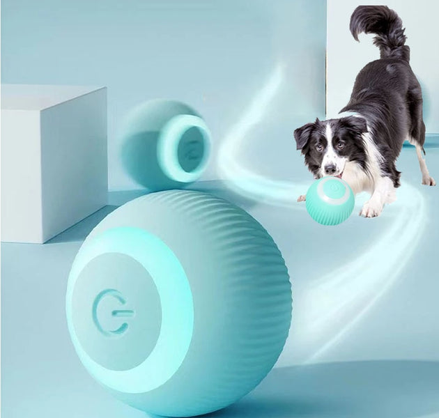 Electric Dog Toys Smart Puppy Ball Toys For Cat Small Dogs Funny Auto Rolling Ball Self-moving Puppy Games Toys Pet Accessories - Urban Pet Plaza 