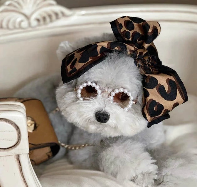 Luxury Glasses Pet Dog Pearl Sunglasses Teddy Than Panda Chihuahua Photo Sunglasses Headdress Pearl Sunglasses Dog Accessories - Urban Pet Plaza 
